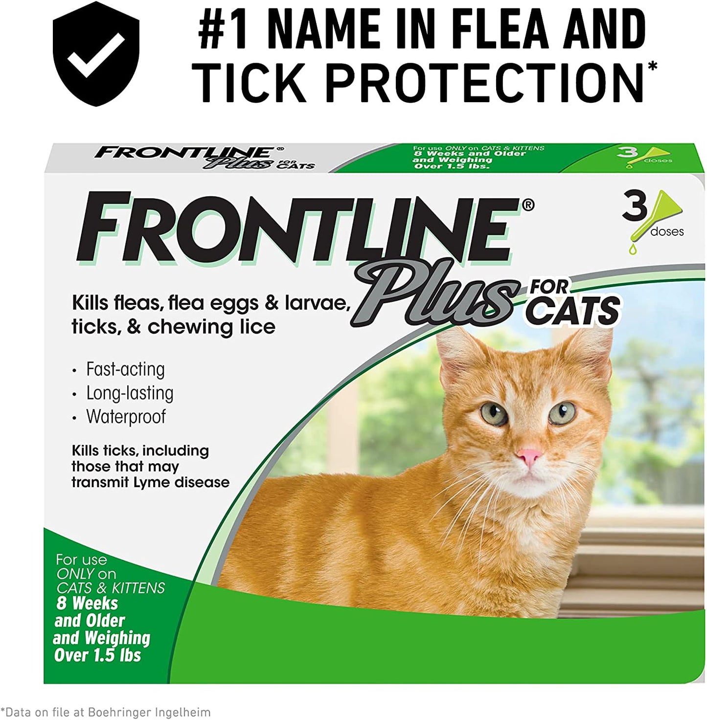 Frontline Plus Flea & Tick Spot Treatment for Cats 3 Month