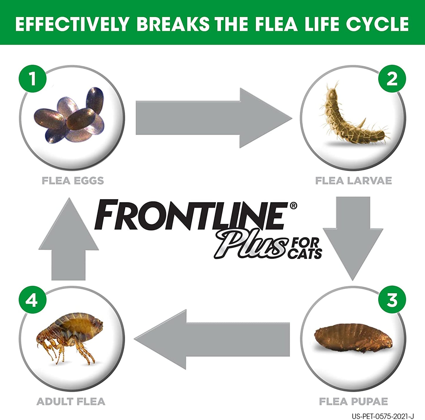 Frontline Plus Flea & Tick Spot Treatment for Cats 6 Month